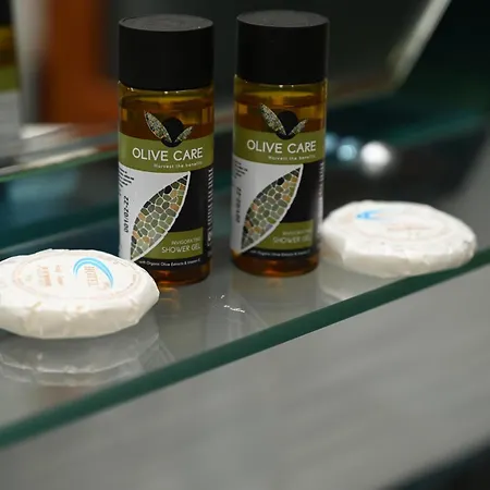 Artan * Ishull-Shëngjini