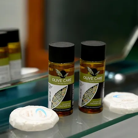 Artan Ishull-Shëngjini