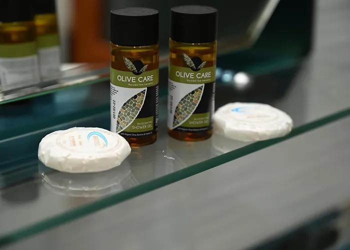 Artan * Ishull-Shëngjini